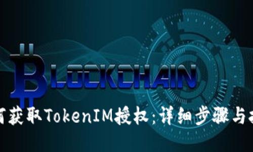 如何获取TokenIM授权：详细步骤与技巧