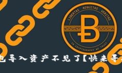 Tokenim钱包导入资产不见了？快来寻找解决方案！