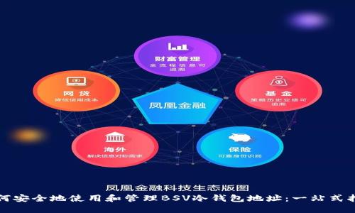 如何安全地使用和管理BSV冷钱包地址：一站式指南