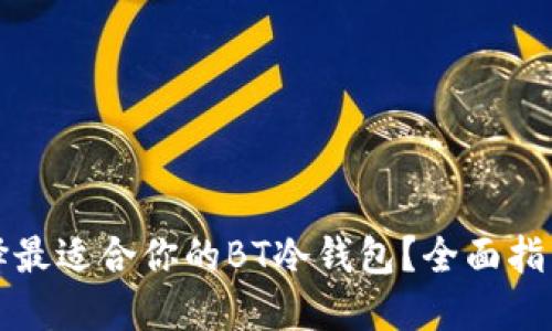 如何选择最适合你的BT冷钱包？全面指南与推荐