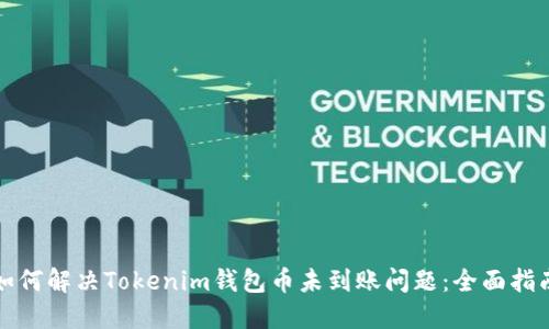 如何解决Tokenim钱包币未到账问题：全面指南