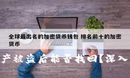 Tokenim钱包资产被盗后能否找回？深入解析与解决方案