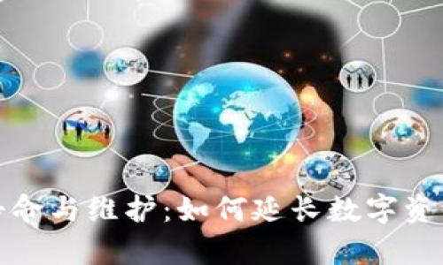 冷钱包的寿命与维护：如何延长数字资产的安全性