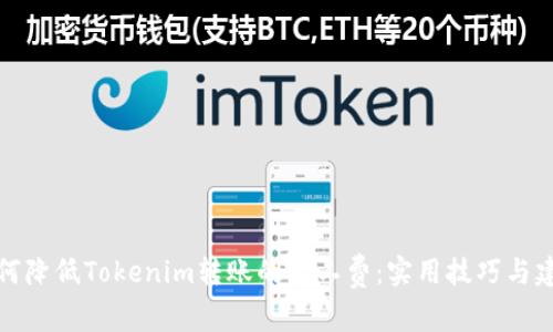 如何降低Tokenim转账的矿工费：实用技巧与建议