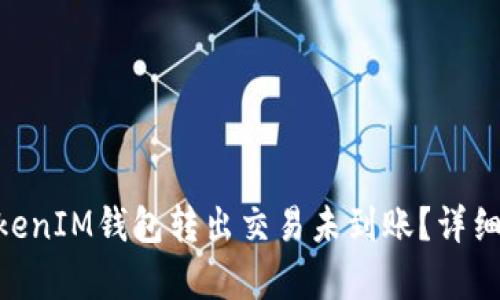 为什么TokenTokenIM钱包转出交易未到账？详细分析与解决方案