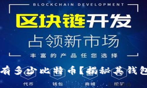 中本聪拥有多少比特币？揭秘其钱包中的财富