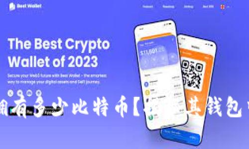 中本聪拥有多少比特币？揭秘其钱包中的财富