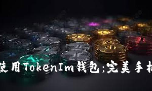 如何安全使用TokenIm钱包：完美手机钱包指南