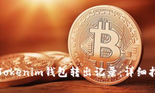 如何查询Tokenim钱包转出记录：详细指南及解析