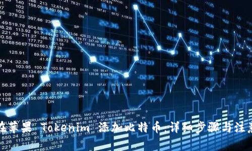 如何在苹果 Tokenim 添加比特币：详细步骤与注意事项
