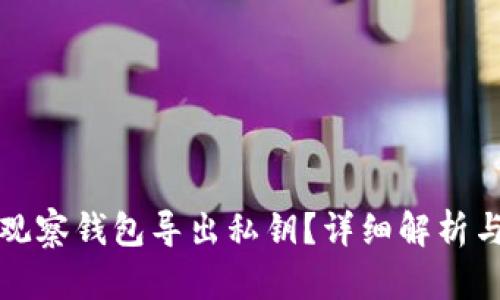 如何通过观察钱包导出私钥？详细解析与风险提示