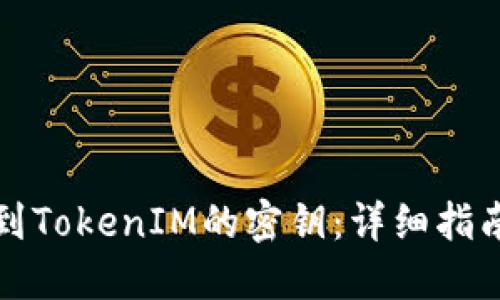 如何找到TokenIM的密钥：详细指南与技巧