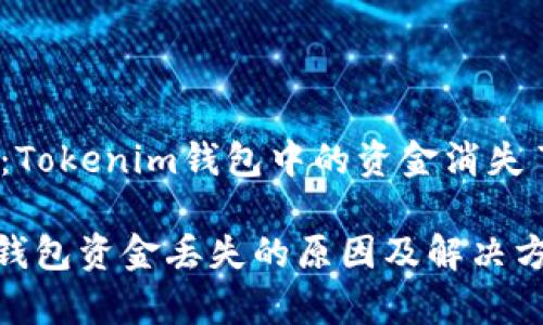 深入分析：Tokenim钱包中的资金消失了怎么办？

Tokenim钱包资金丢失的原因及解决方法分析