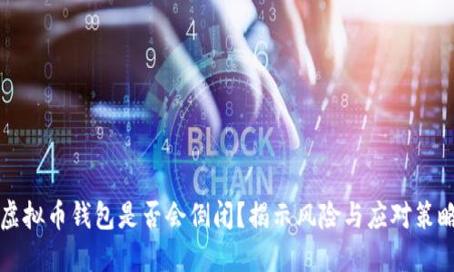 虚拟币钱包是否会倒闭？揭示风险与应对策略