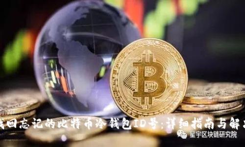 如何找回忘记的比特币冷钱包ID号：详细指南与解决方案