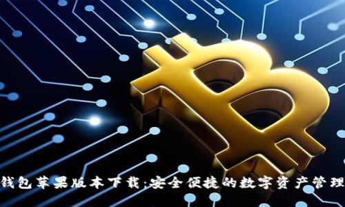 HH5钱包苹果版本下载：安全便捷的数字资产管理工具