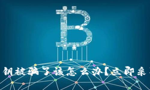 如果你的Tokenim私钥被骗了该怎么办？立即采取行动保护你的资产