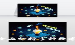 Tokentokenim钱包：全面支持多种数字资产储存的最