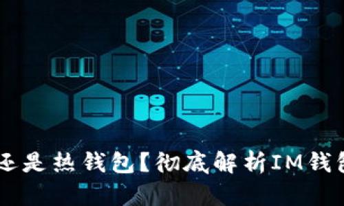 IM钱包是冷钱包还是热钱包？彻底解析IM钱包类型及其优缺点