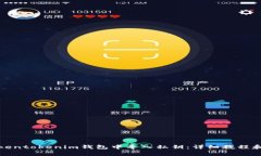 如何在Tokentokenim钱包中导入私钥：详细教程和注