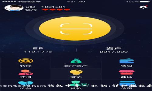 如何在Tokentokenim钱包中导入私钥：详细教程和注意事项