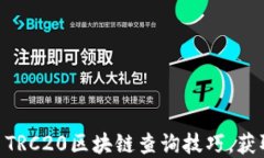 全面掌握USDT TRC20区块链查询技巧，获取实时交易