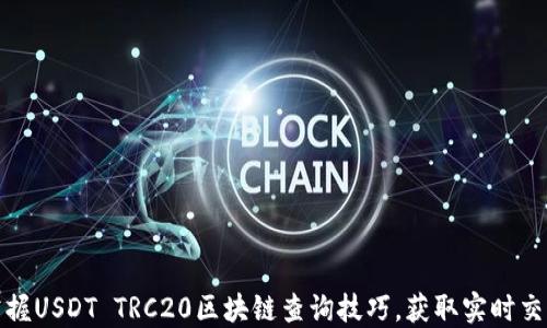 
全面掌握USDT TRC20区块链查询技巧，获取实时交易信息