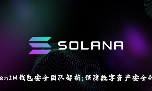 TokenTokenIM钱包安全团队解析：保障数字资产安全的先锋力量