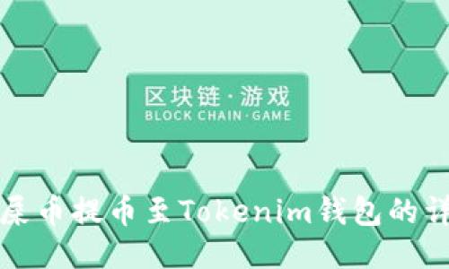 如何将屎币提币至Tokenim钱包的详细指南