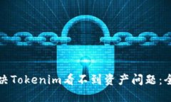 如何解决Tokenim看不到资产问题：全面指南