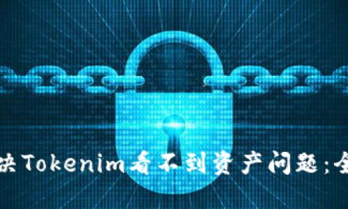 如何解决Tokenim看不到资产问题：全面指南