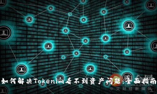 如何解决Tokenim看不到资产问题：全面指南