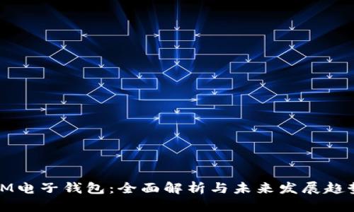 IM电子钱包：全面解析与未来发展趋势