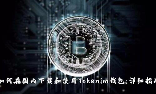 如何在国内下载和使用Tokenim钱包：详细指南