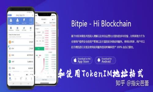 如何正确理解和使用TokenIM地址格式