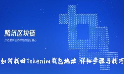 如何找回Tokenim钱包地址：详细步骤与技巧