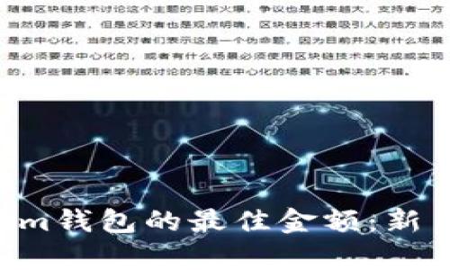 投资TokenTokenim钱包的最佳金额：新手指南与风险分析