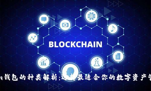 Tokenim钱包的种类解析：选择最适合你的数字资产管理方案