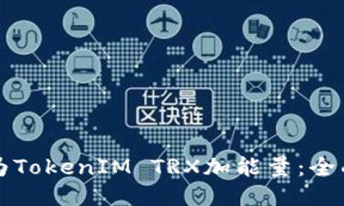 如何为TokenIM TRX加能量：全面指南