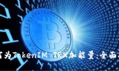 如何为TokenIM TRX加能量：全面指南