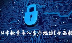 如何在TokenIM中批量导入多个地址？全面指南与操