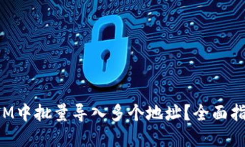 如何在TokenIM中批量导入多个地址？全面指南与操作步骤