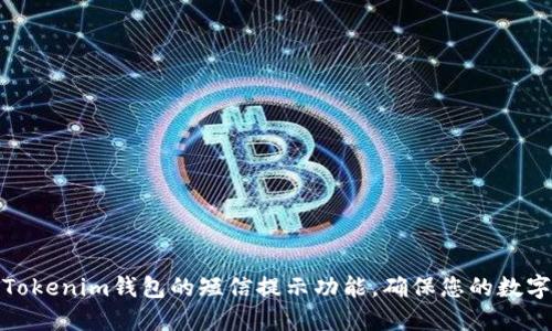 如何设置Tokenim钱包的短信提示功能，确保您的数字资产安全