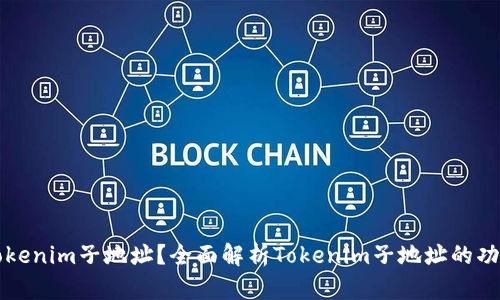 什么是Tokenim子地址？全面解析Tokenim子地址的功能与应用