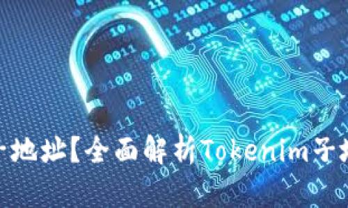 什么是Tokenim子地址？全面解析Tokenim子地址的功能与应用