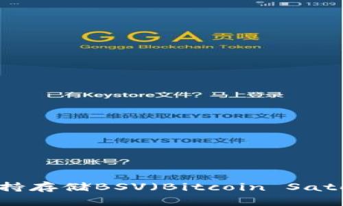 Tokenim钱包支持存储BSV（Bitcoin Satoshi Vision）吗？