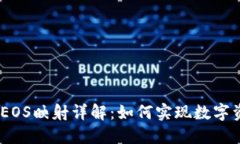 Tokenim 2.0 EOS映射详解：如何实现数字资产的无缝