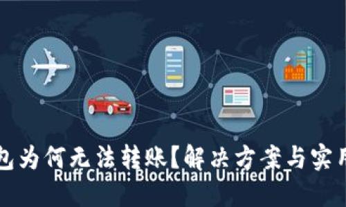 冷钱包为何无法转账？解决方案与实用指南