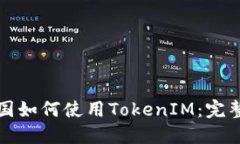 在中国如何使用TokenIM：完整指南