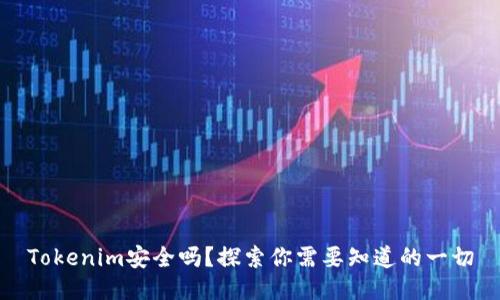 Tokenim安全吗？探索你需要知道的一切